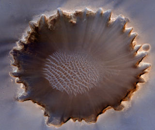 mro_20090811